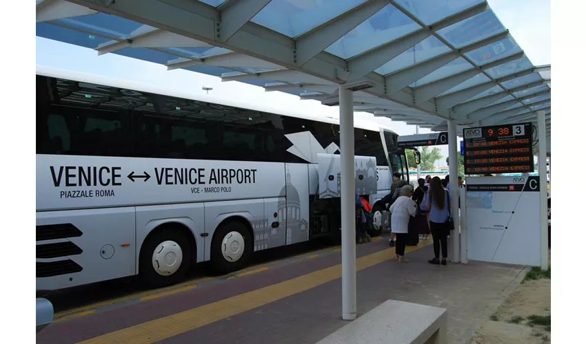 Venice: Shuttle Bus Transfer from Venice to Marco Polo Airport