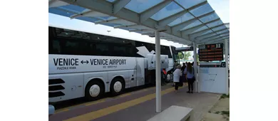 Venice: Shuttle Bus Transfer from Venice to Marco Polo Airport