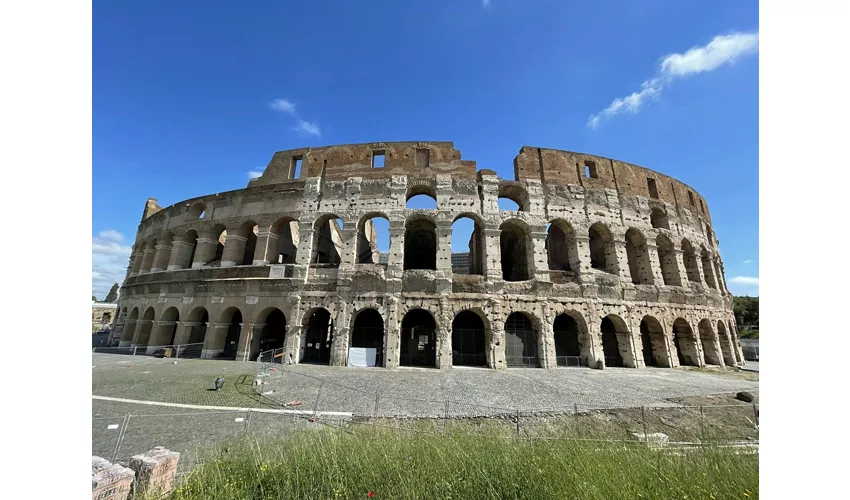 Colosseum, Arena, Roman Forum & Palatine Hill + Guided Tour