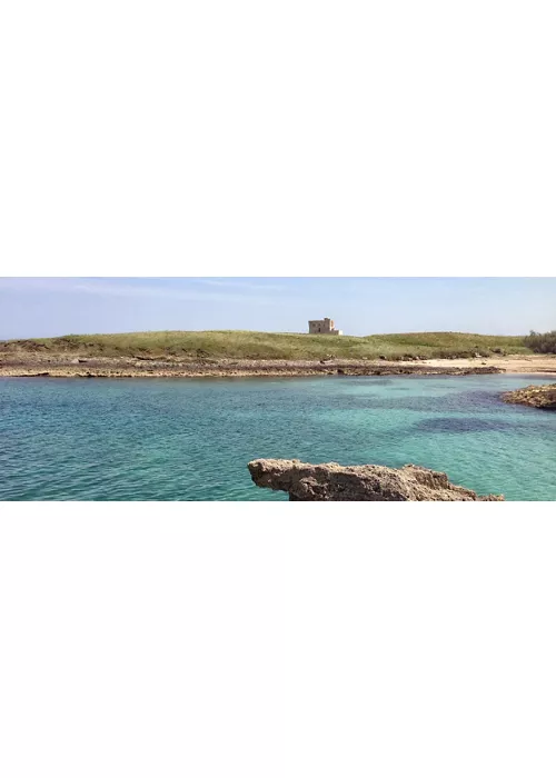 Das Meeresschutzgebiet von Torre Guaceto