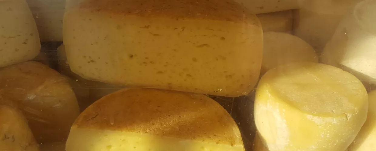 Empresa Agrícola de Zottele Emanuela
