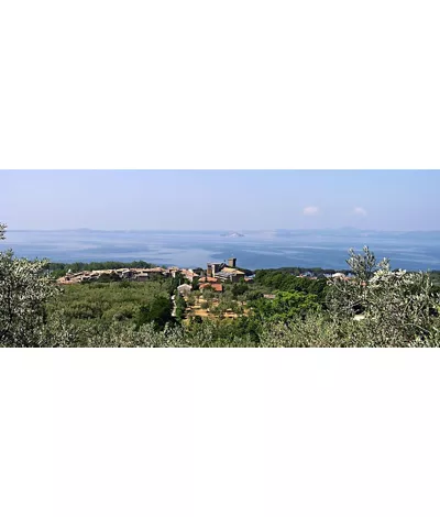 Bolsena