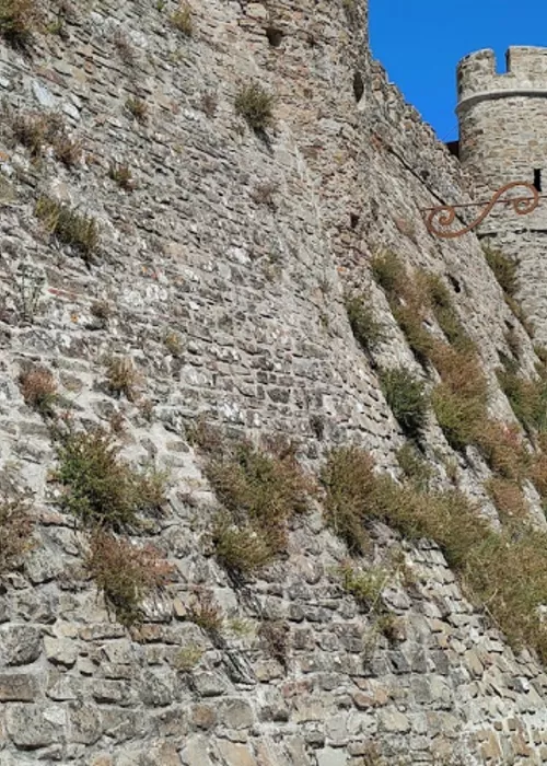 Castillo de Rocca Cilento