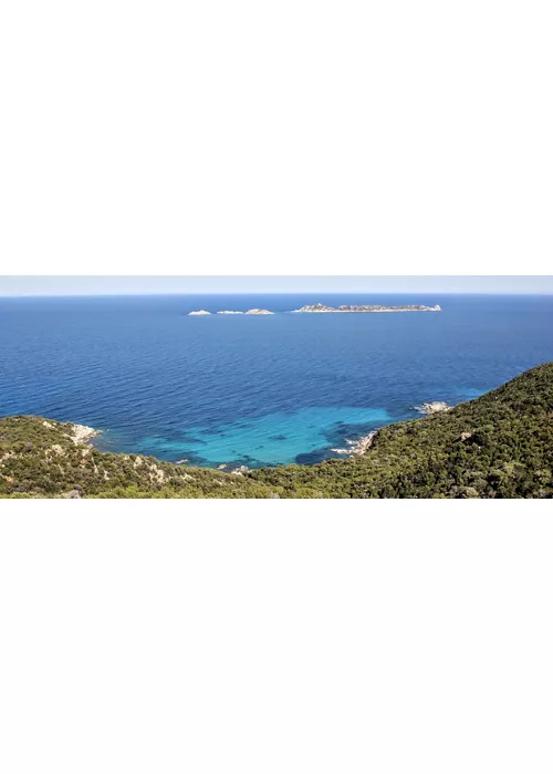 Ilha Serpentara