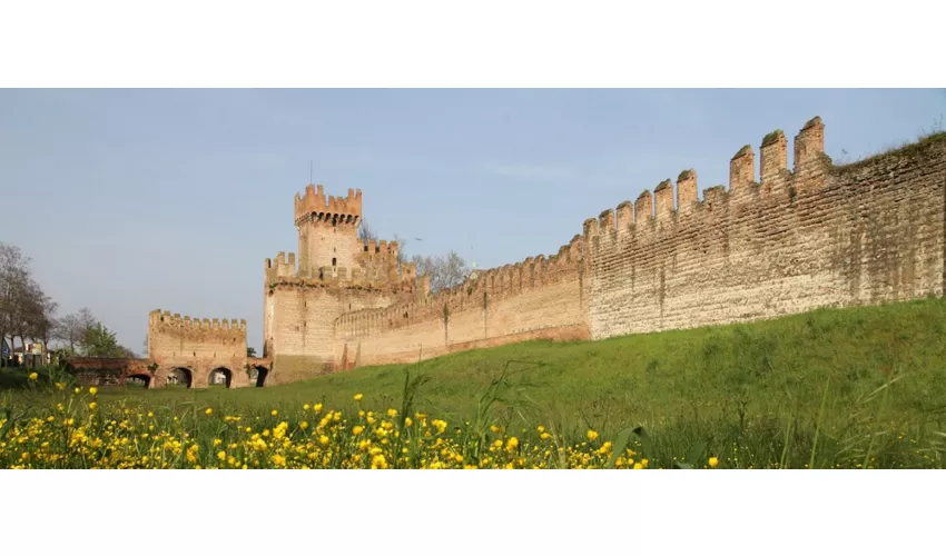 Montagnana