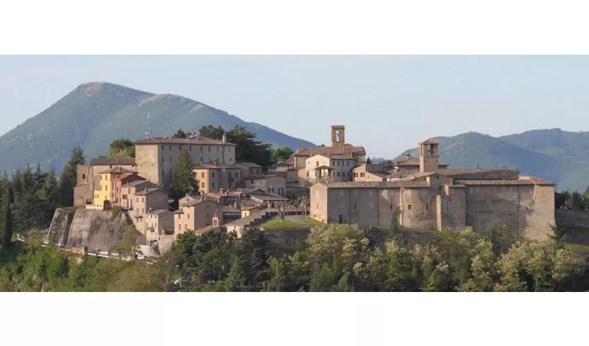 Montone