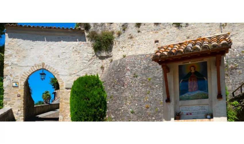 Montone