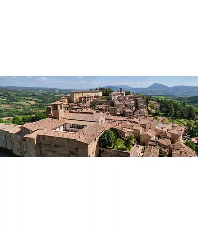 Montone