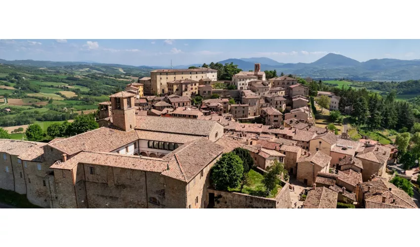 Montone