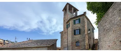 Montone