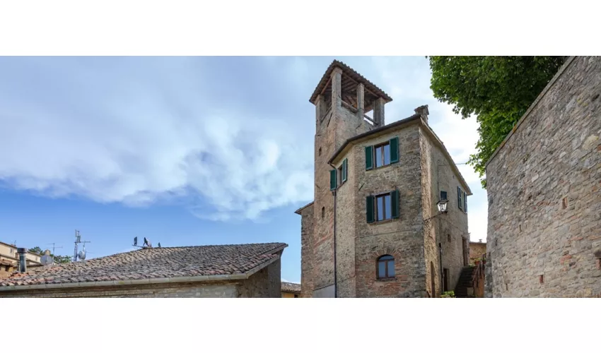 Montone
