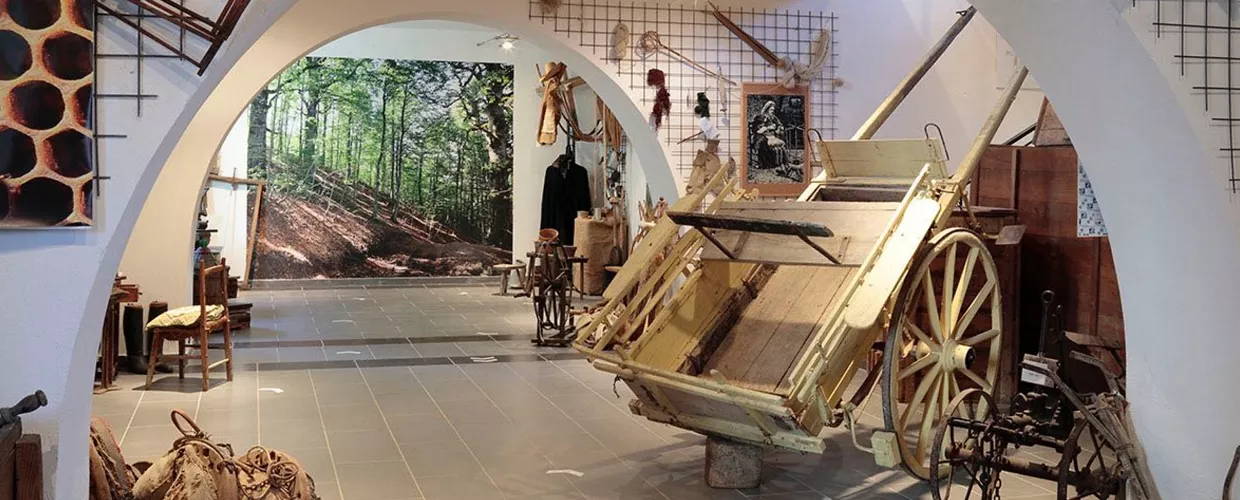 Musée municipal d'archéologie