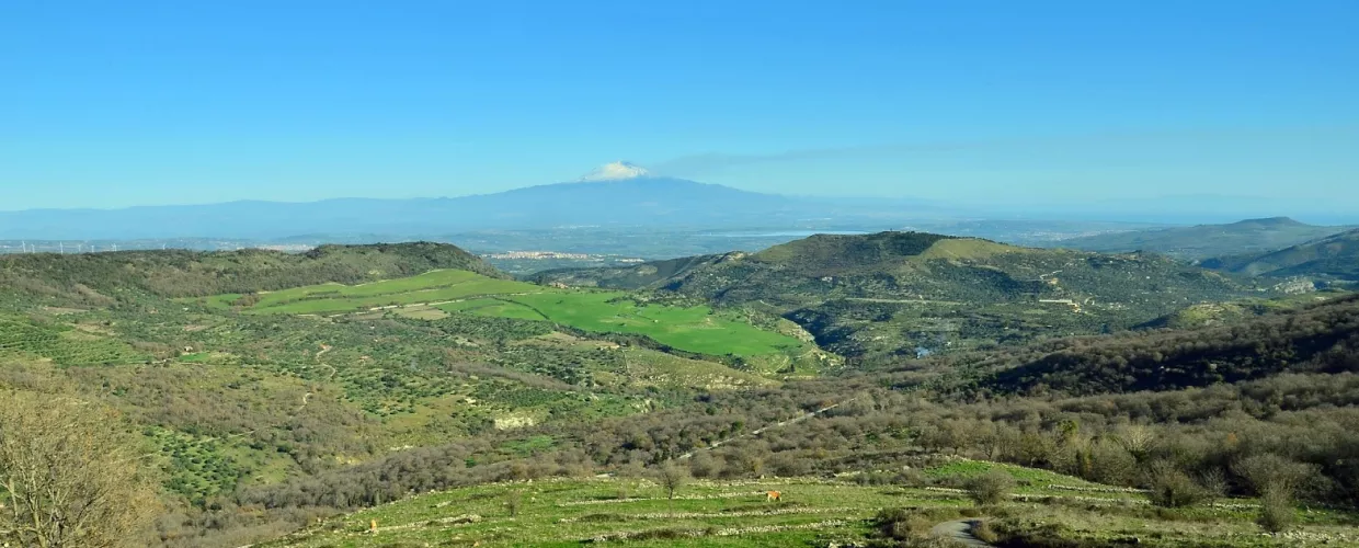 Neviere di Bucchieri