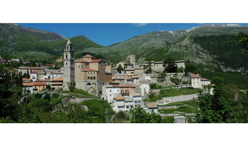 Palena