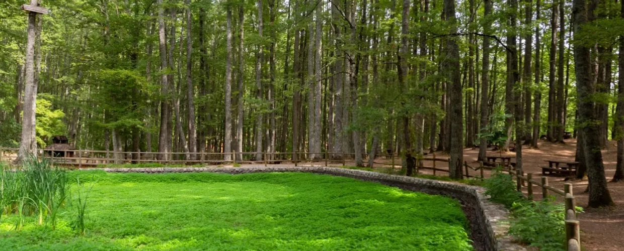 Parque de aventuras del Pollino