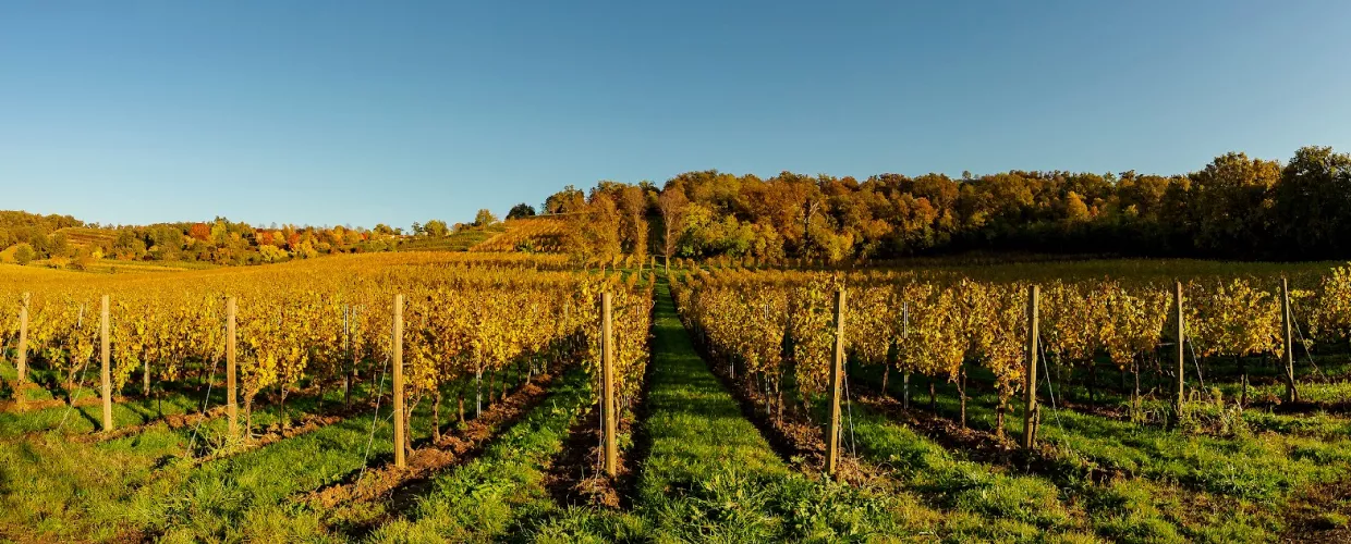 Parc des Collines