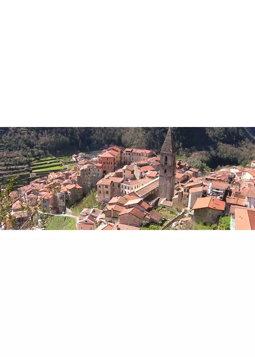 Pigna