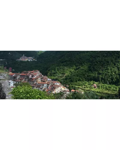 Pigna