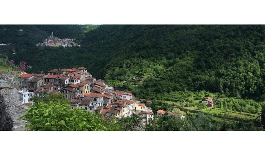 Pigna