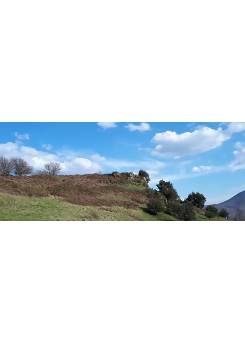 Historischer Weg von Tuscolo Antica