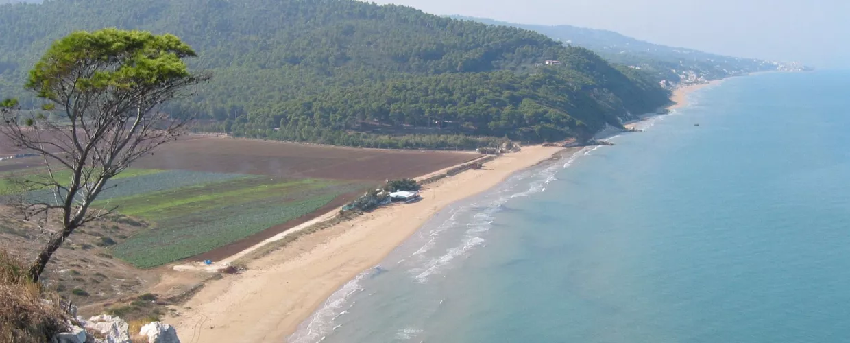 Spiaggia di San Menaio