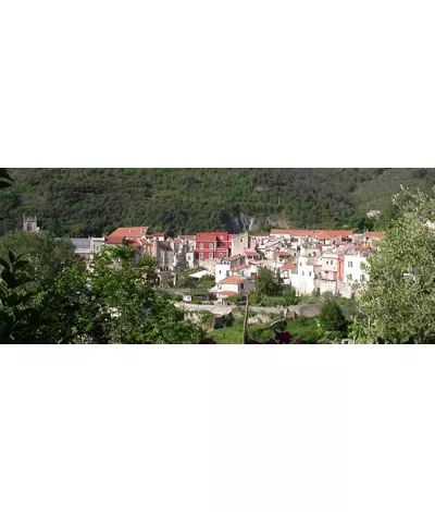 Toirano