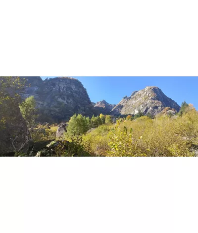 Val Masino