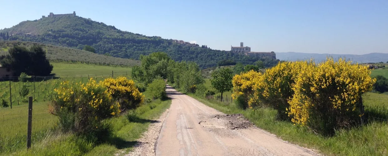 Via di Francesco (Camino de Francisco)