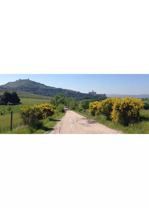 Via di Francesco