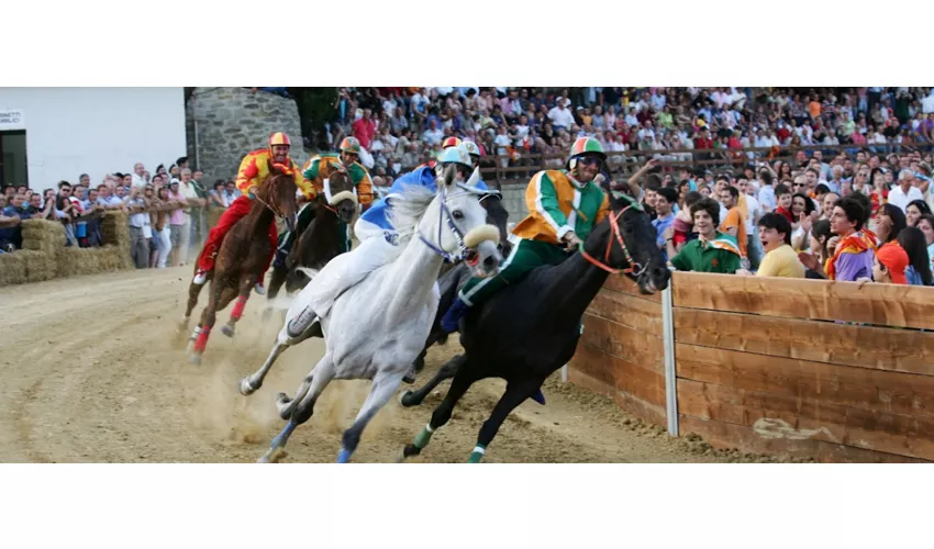 Castiglion Fiorentino