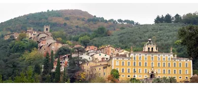 Collodi