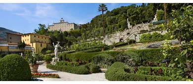 Collodi