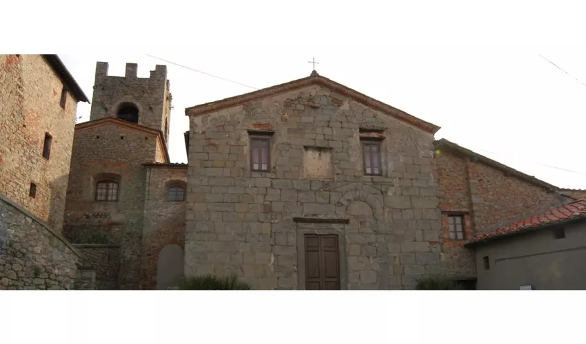Collodi