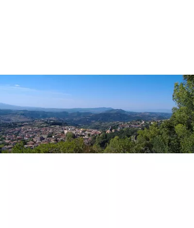 Laconi