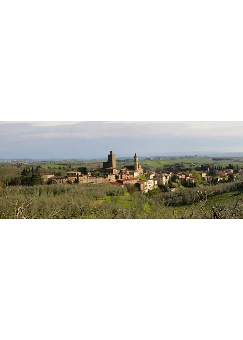 Vinci