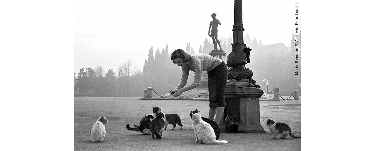 Firenze '50 '60 '70