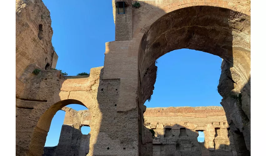 Visita guidata delle Terme di Caracalla e del Circo Massimo