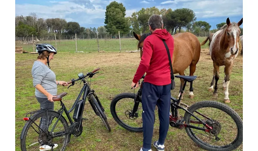 Via Appia: Tour in E-Bike fuori dai sentieri battuti + Catacombe + Cibo