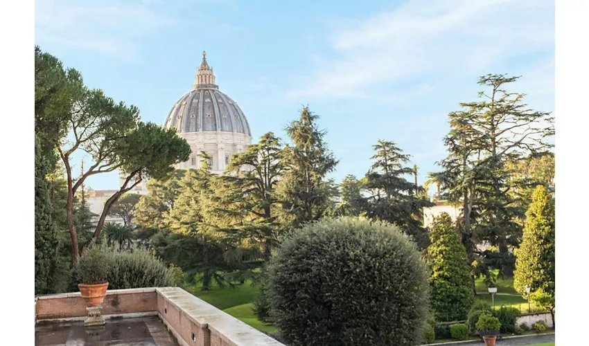 Musei Vaticani e Basilica di San Pietro: Biglietto Fast Track + Visita guidata