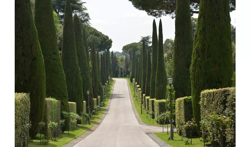 Pontifical Villas of Castel Gandolfo Gardens: Eco Minibus Tour