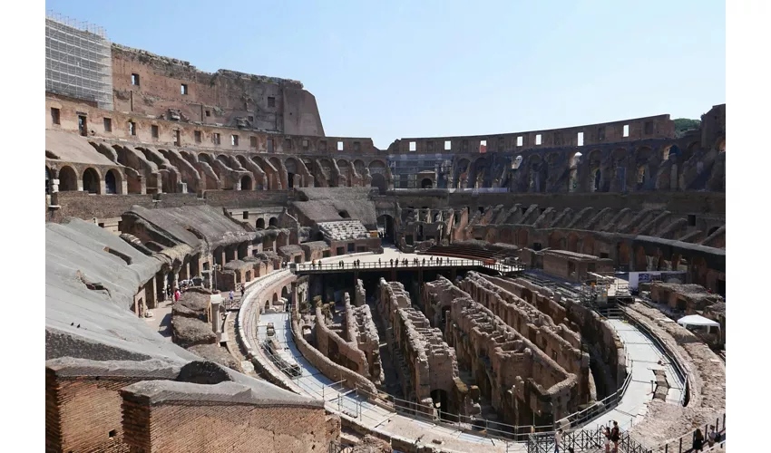 Colosseum, Roman Forum & Palatine Hill + Express Guided Tour