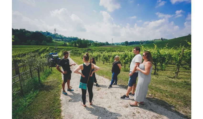 Verona: Prosecco Wine Tour from Venice