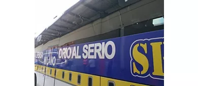 Bérgamo: Traslado en autobús de ida desde el aeropuerto de Milán Bérgamo a Bérgamo