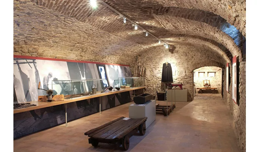 Musei del Cibo: Museo del Salame di Felino