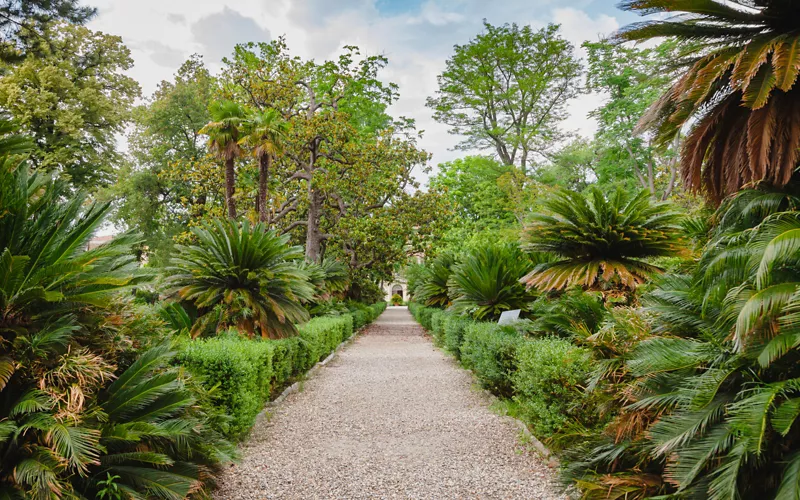 Drei Ideen für Unternehmungen in Pisa