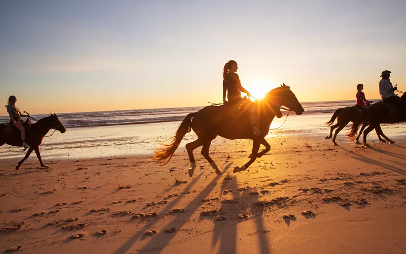 5 actividades glamurosas naturaleza caballo