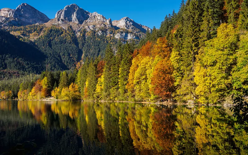 An explosion of color around the waters of Lake Tovel