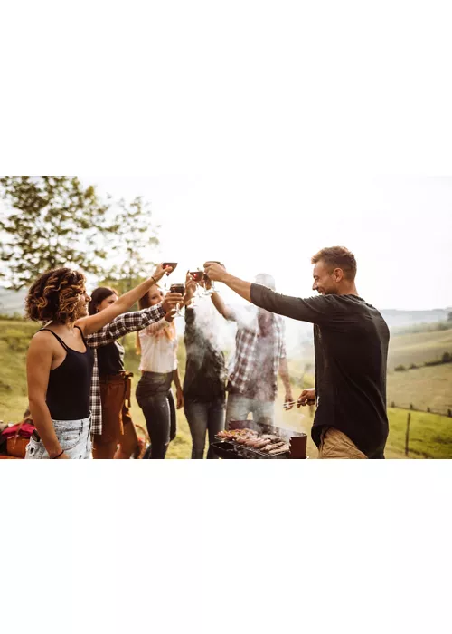 Gente brindando durante un picnic