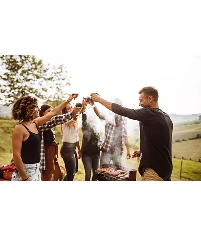 People toasting during a picnic