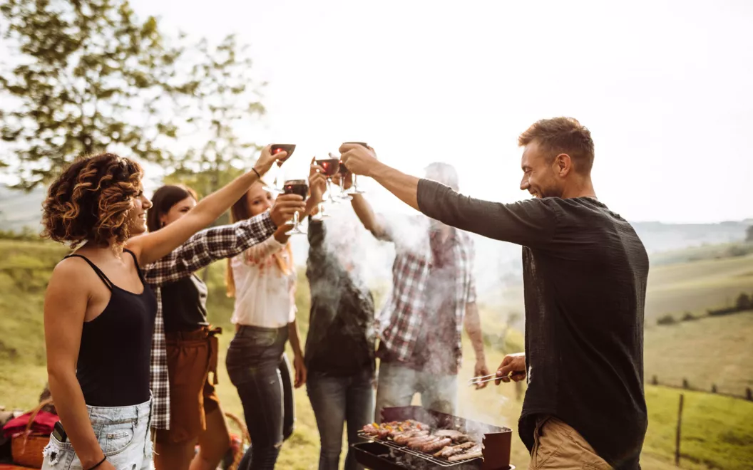 People toasting during a picnic